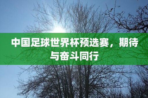 中国足球世界杯预选赛，期待与奋斗同行