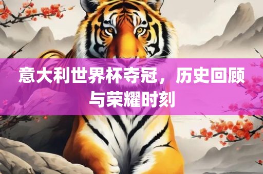 意大利世界杯夺冠，历史回顾与荣耀时刻广西贺州市华昌新材料有限公司