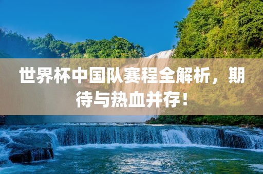 世界杯中国队赛程全解析，期待与热血并存！