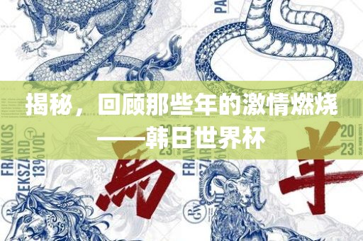 揭秘，回顾那些年的激情燃烧——韩日世界杯