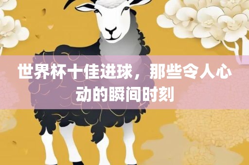 yunxin 第8页