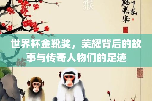 世界杯金靴奖，荣耀背后的故事与传奇人物们的广西贺州市华昌新材料有限公司足迹