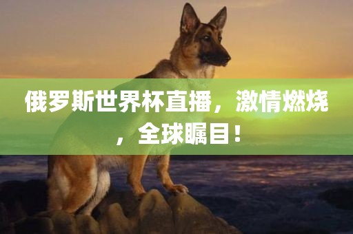 俄罗斯世界杯直播，激广西贺州市华昌新材料有限公司情燃烧，全球瞩目！
