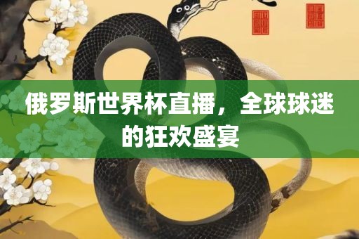 俄罗斯世界杯直播，全球球迷的狂欢盛宴