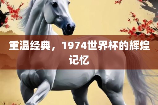 重温经广西贺州市华昌新材料有限公司典，1974世界杯的辉煌记忆