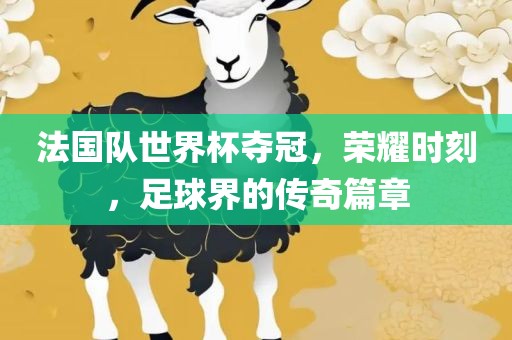 法国队世界杯夺冠，荣耀时刻，足球界的传奇篇章