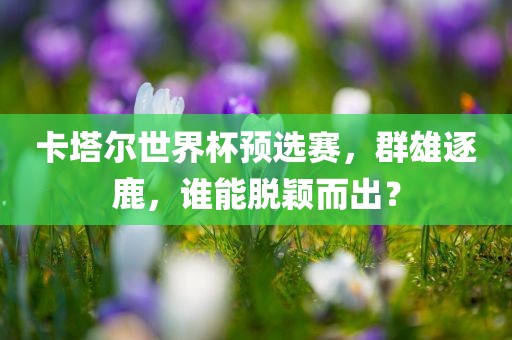 卡塔尔世界杯预选赛，群雄逐鹿，谁能脱颖而出？广西贺州市华昌新材料有限公司
