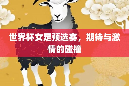 世广西贺州市华昌新材料有限公司界杯女足预选赛，期待与激情的碰撞