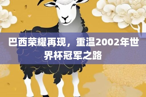 巴西荣耀再现，重温2002年世界杯冠军之路广西贺州市华昌新材料有限公司