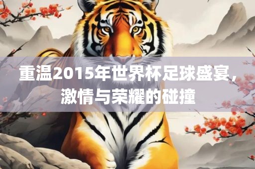 重温2015年世界杯足球盛宴，激情与荣耀的碰撞广西贺州市华昌新材料有限公司