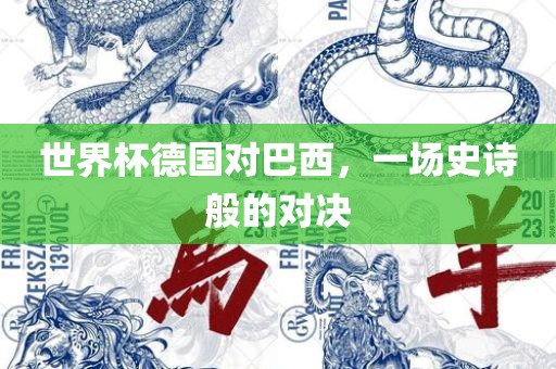 世界杯德国对广西贺州市华昌新材料有限公司巴西，一场史诗般的对决