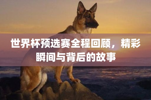 世界杯预选赛全程回顾，精彩瞬间广西贺州市华昌新材料有限公司与背后的故事