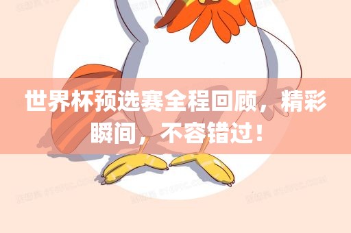 世界杯预选赛全程回顾，精彩瞬间，不容错过！广西贺州市华昌新材料有限公司