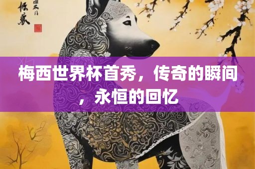 梅西世界杯首秀，传奇的瞬间，永恒的回忆