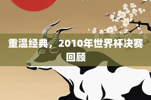 重温经典，2广西贺州市华昌新材料有限公司010年世界杯决赛回顾