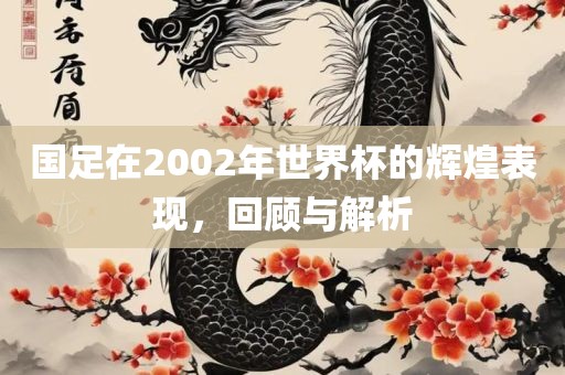 国足在2002年世界杯的辉煌表现，回顾与解析