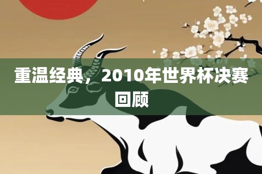 重温经典，2010年世界杯决赛回顾