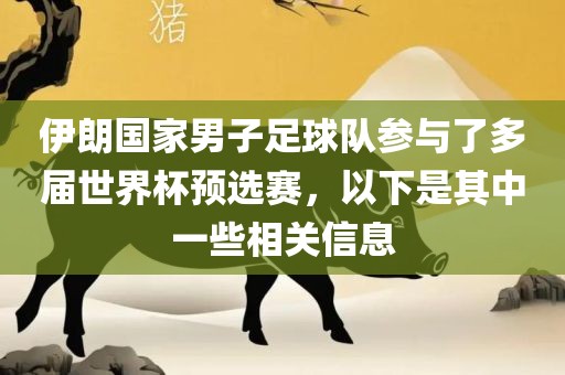 伊朗国家男子足球队参与了多届世界杯预选赛，以下是其中一些相关信息广西贺州市华昌新材料有限公司