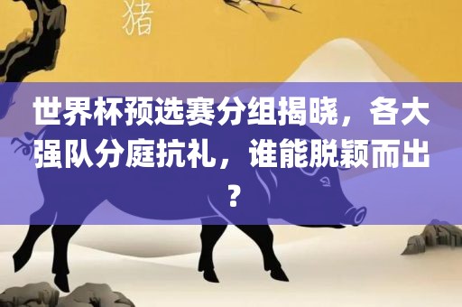 世界杯预选赛 第15页