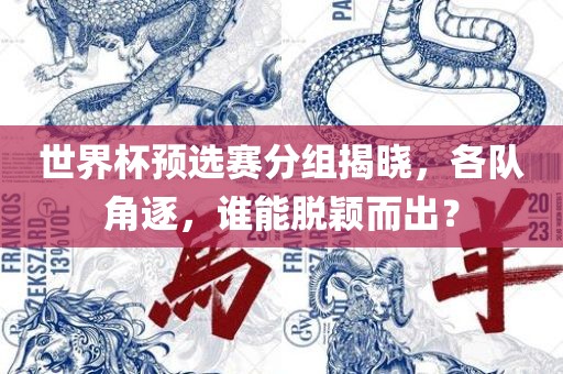 世界杯预选赛分组广西贺州市华昌新材料有限公司揭晓，各队角逐，谁能脱颖而出？