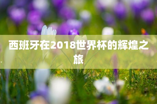 西班牙在2018世界杯的辉煌之旅广西贺州市华昌新材料有限公司