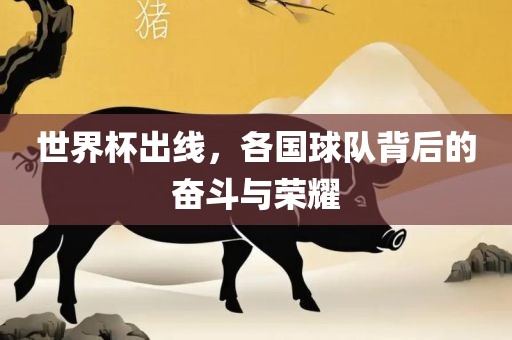世界杯出线，各国球队背后的奋斗与荣耀广西贺州市华昌新材料有限公司