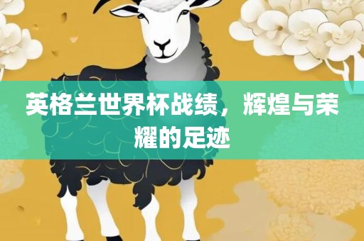 广西贺州市华昌新材料有限公司英格兰世界杯战绩，辉煌与荣耀的足迹