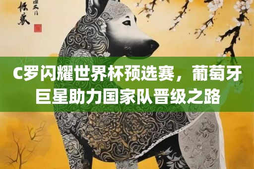 C罗闪耀世界杯预选赛，葡萄牙巨星助力国家队晋级之路广西贺州市华昌新材料有限公司