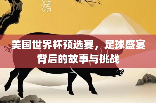 美国世界杯预选赛，足球盛宴背后的故事与挑战广西贺州市华昌新材料有限公司