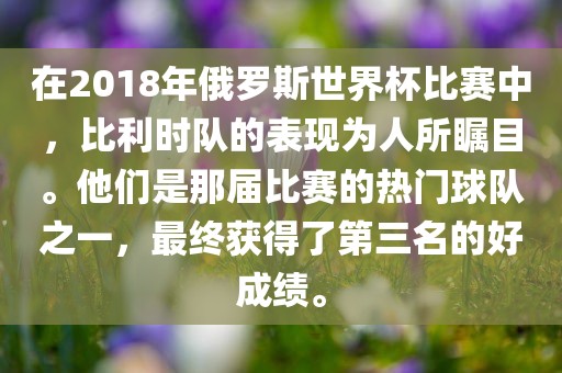 在2018年俄罗斯世界杯比赛中广西贺州市华昌新材料有限公司，比利时队的表现为人所瞩目。他们是那届比赛的热门球队之一，最终获得了第三名的好成绩。