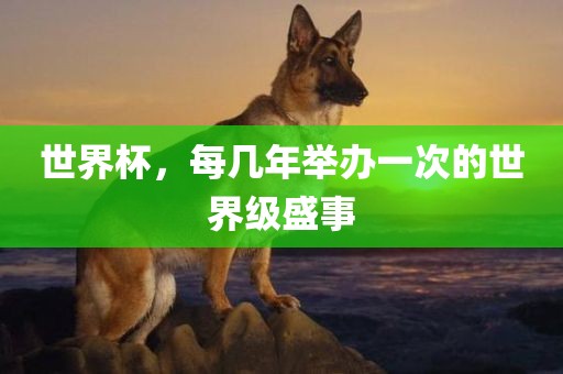 世界杯，每几年举办一次的世界级盛事广西贺州市华昌新材料有限公司