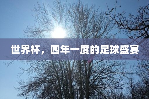 世界杯，四年一度的足球盛宴广西贺州市华昌新材料有限公司