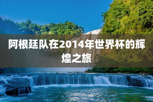 阿根廷队在2014年世界杯的辉煌之旅