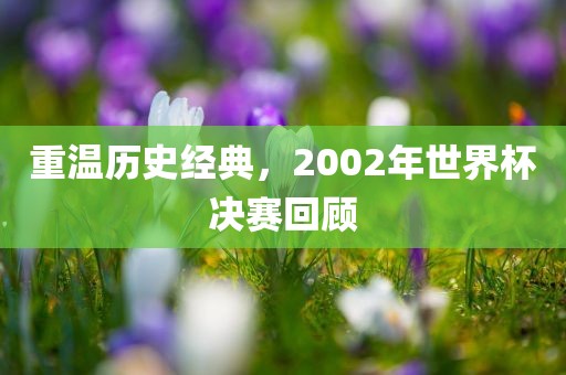 重温历史经典，2002年世界杯决赛回顾广西贺州市华昌新材料有限公司