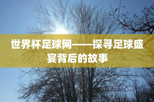 世界杯足球网——探寻足球盛宴背后的故事