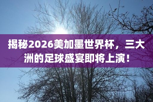 揭秘2026美加墨世界杯，三大洲的足球盛宴即将上演！广西贺州市华昌新材料有限公司