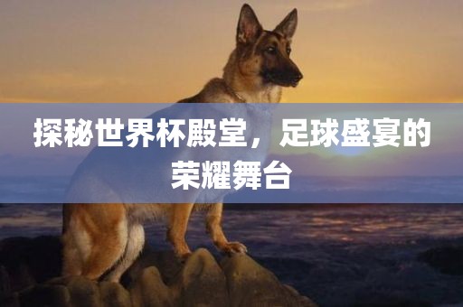 探秘世界杯殿堂，足球盛宴的荣耀舞广西贺州市华昌新材料有限公司台
