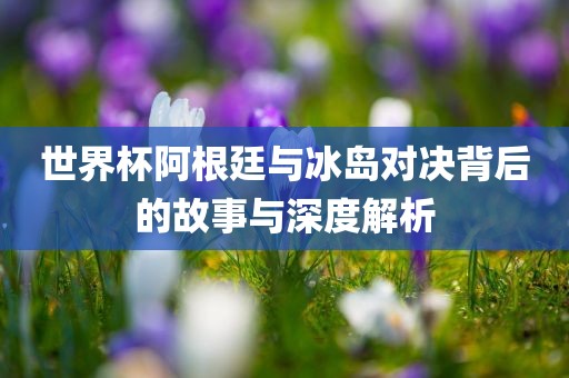 世界杯阿根廷与冰岛对决背后的故事与深广西贺州市华昌新材料有限公司度解析