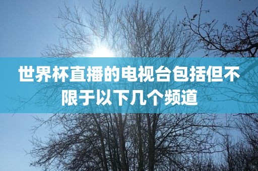 世界杯直播的电视台包括但不限于以下几个频道广西贺州市华昌新材料有限公司
