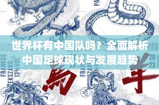 世界杯有中广西贺州市华昌新材料有限公司国队吗？全面解析中国足球现状与发展趋势
