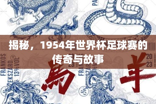 揭秘，1954年世界杯足球赛的传奇与故事广西贺州市华昌新材料有限公司