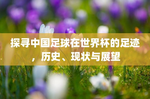 探寻中国足球在世界杯的足迹，历史、现状与展望
