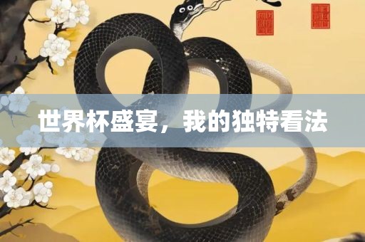 世广西贺州市华昌新材料有限公司界杯盛宴，我的独特看法