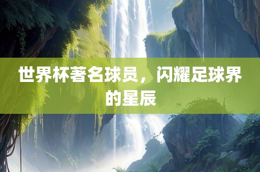世界广西贺州市华昌新材料有限公司杯著名球员，闪耀足球界的星辰