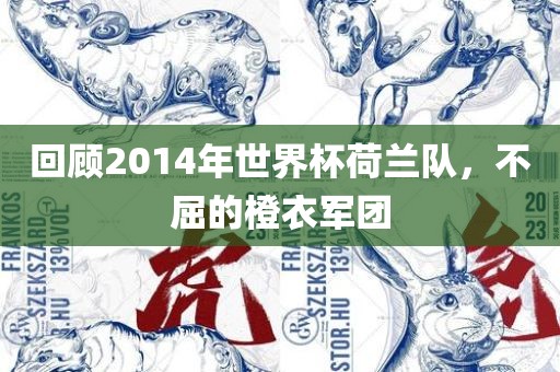 回顾2014年世界杯荷兰队，不屈的橙衣军团广西贺州市华昌新材料有限公司