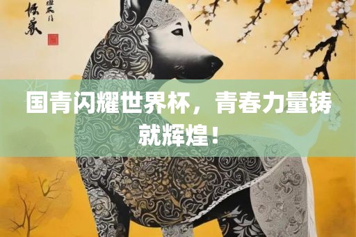 国青闪耀世界杯，青春力量铸就辉煌！广西贺州市华昌新材料有限公司