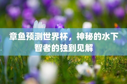章鱼预测世界杯，神秘的水下智者的独到见解广西贺州市华昌新材料有限公司