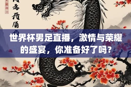 世界杯男足直播，激情与荣耀的盛宴，你准备好了吗？