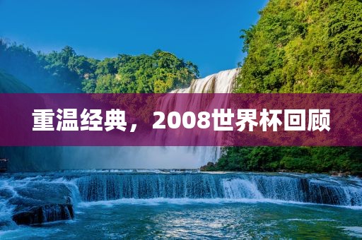 重温经典，2008世界杯回顾广西贺州市华昌新材料有限公司