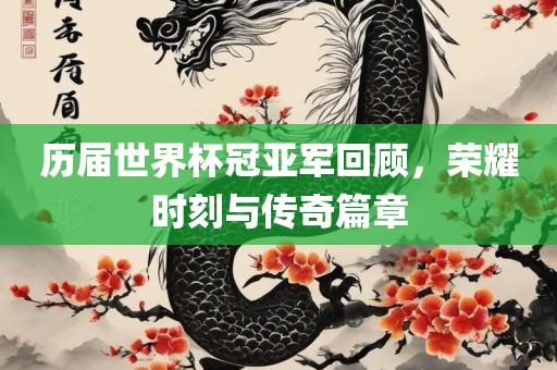 历届世界杯冠亚军回顾，荣耀时刻与传奇篇章